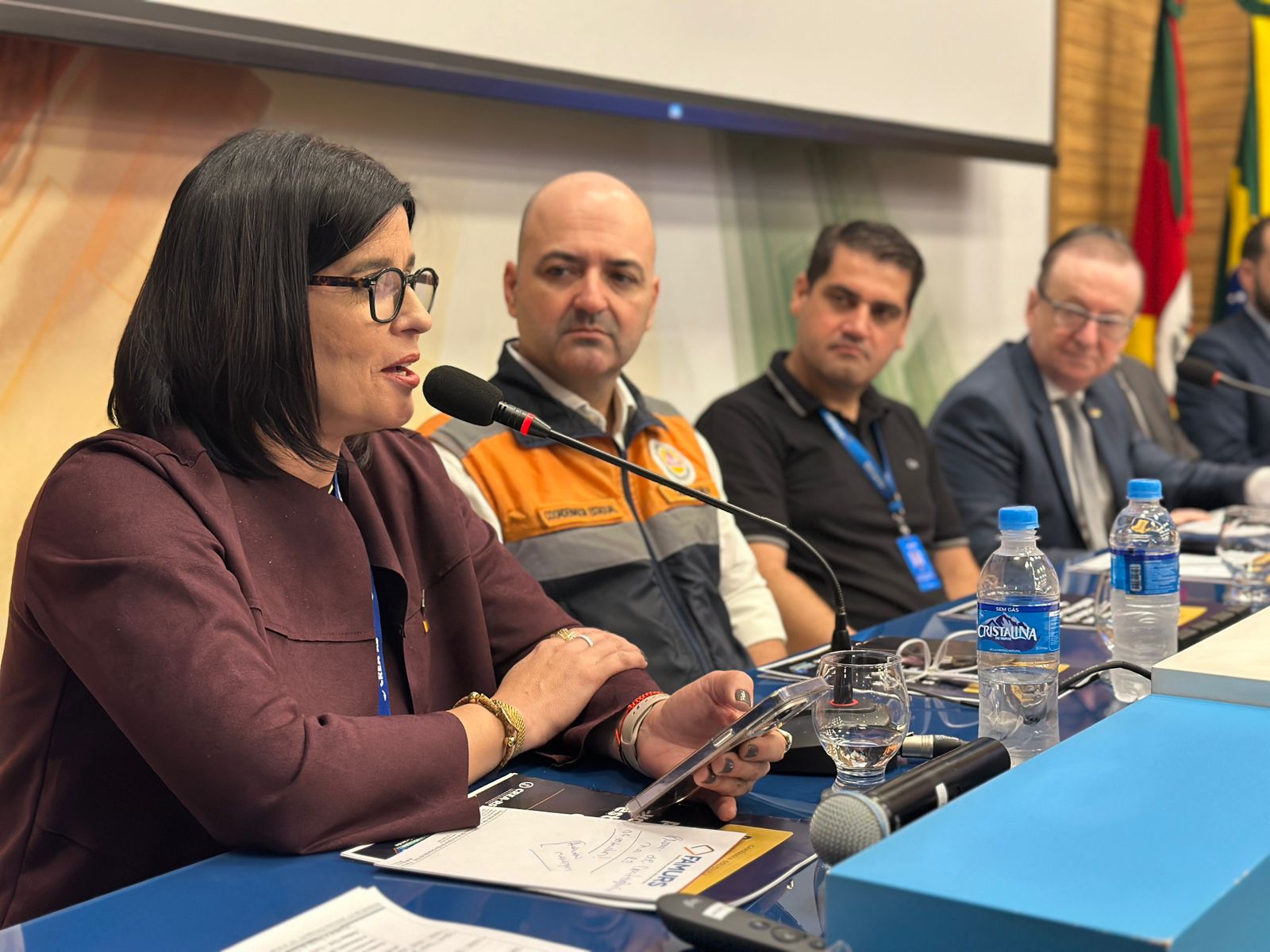 Pres. Eng. Nanci falou sobre a import&acirc;ncia da engenharia